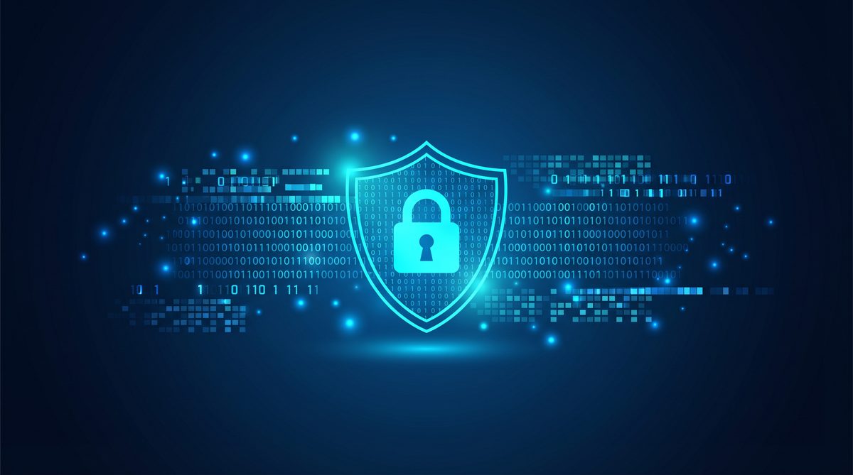 白柚加速器隐私安全保护